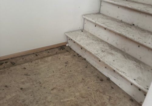 renovation services